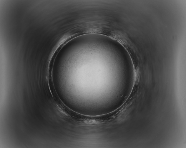 X0000086900195200704161326