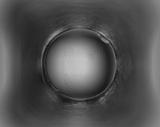 X0000086900196200704161326