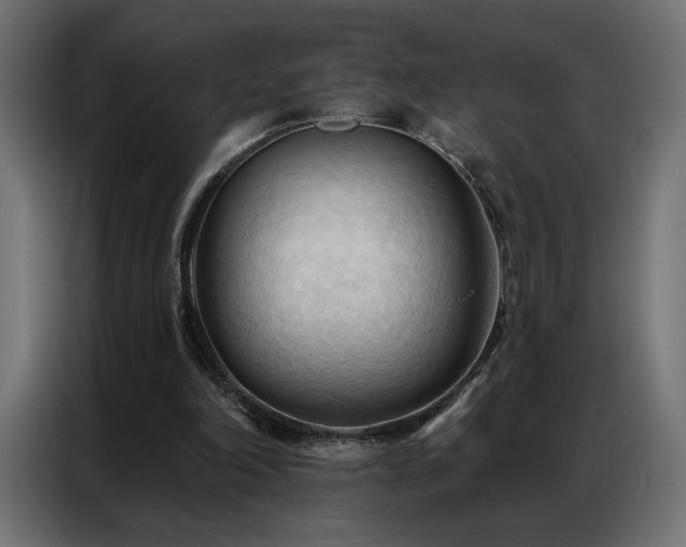 X0000086900198200704161326