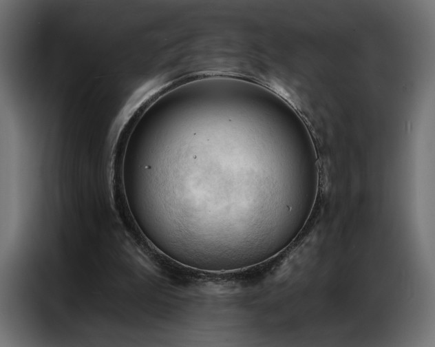 X0000086900199200704161326