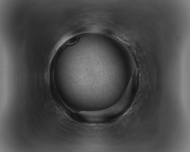 X0000086900200200704161326