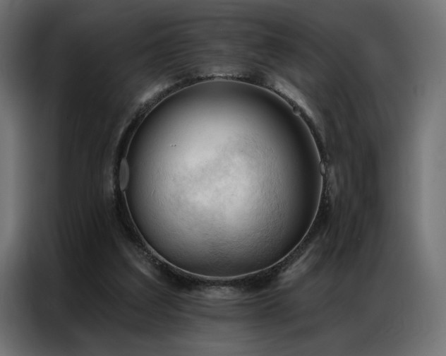 X0000086900203200704161326
