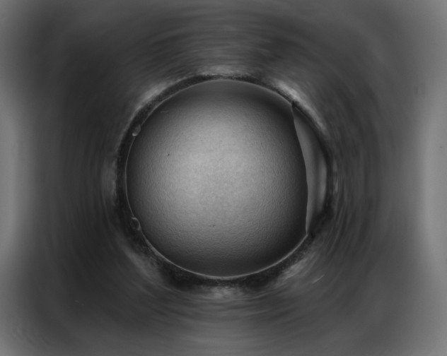 X0000086900204200704161326