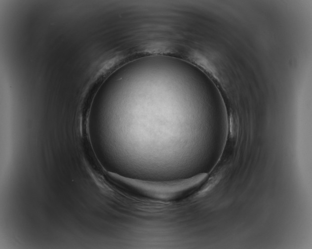 X0000086900205200704161326