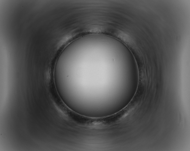 X0000086900208200704161325