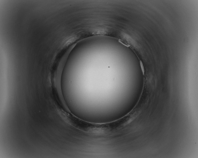 X0000086900209200704161325