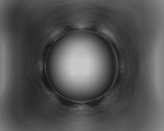 X0000086900210200704161325