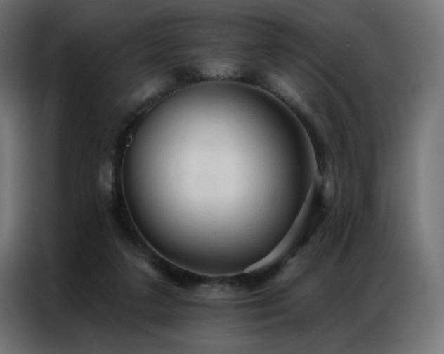 X0000086900211200704161325