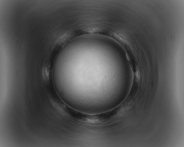 X0000086900214200704161325
