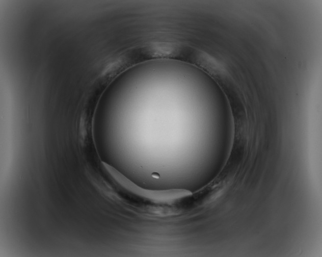 X0000086900215200704161325