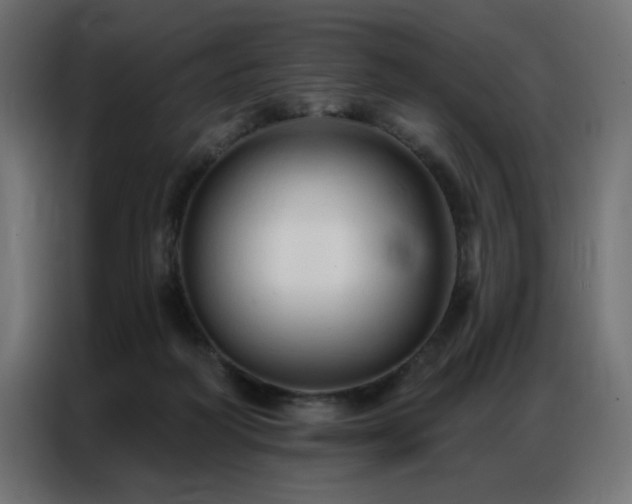 X0000086900218200704161325