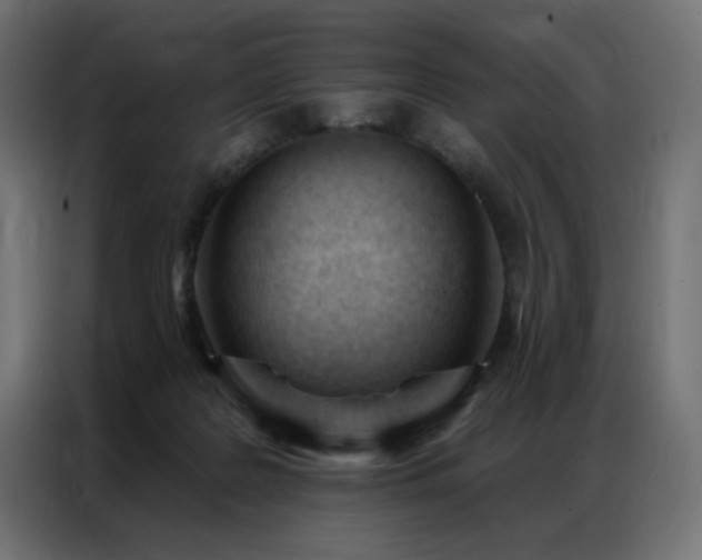 X0000086900219200704161325