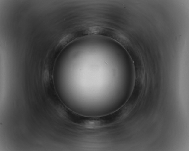 X0000086900220200704161325