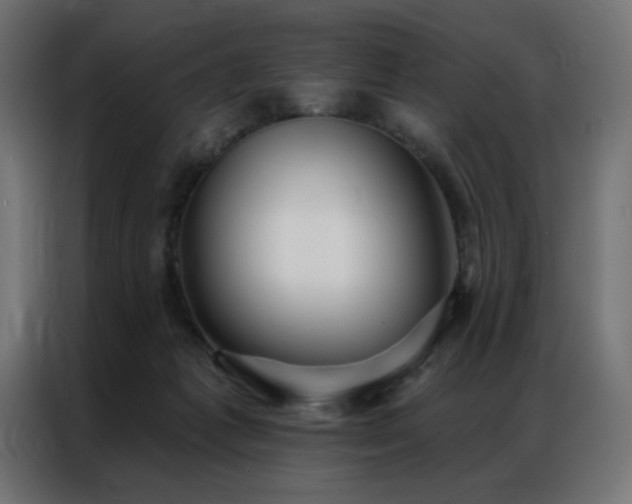 X0000086900221200704161325