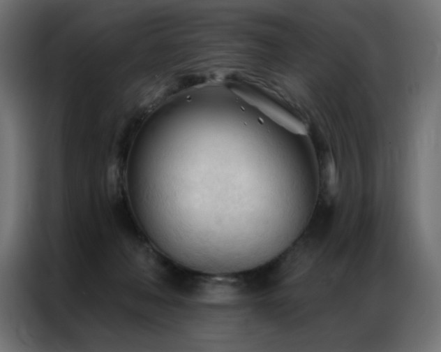X0000086900222200704161325