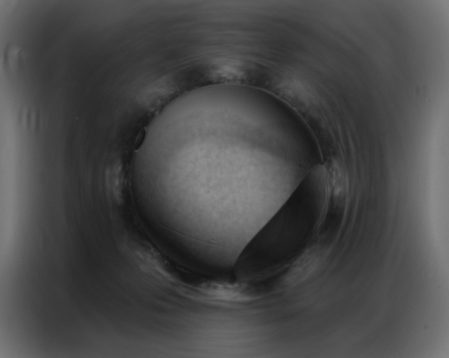 X0000086900223200704161325