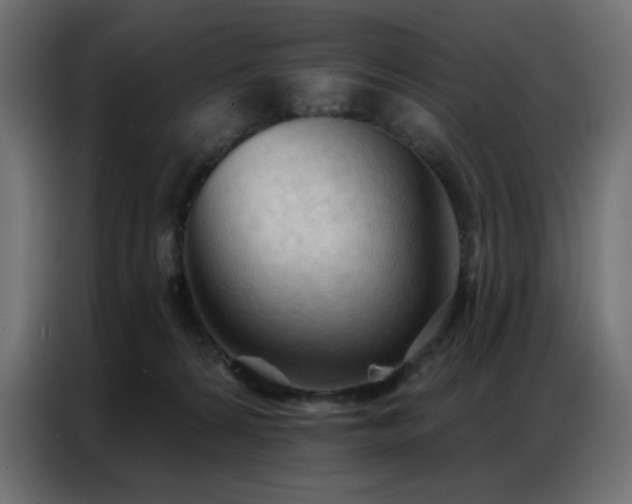 X0000086900224200704161325