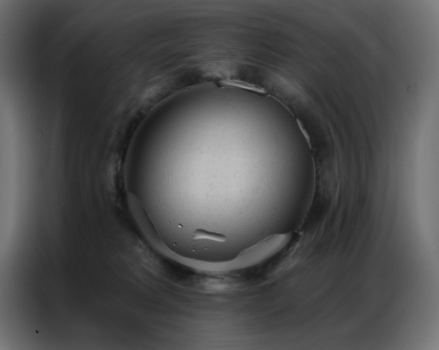 X0000086900229200704161325
