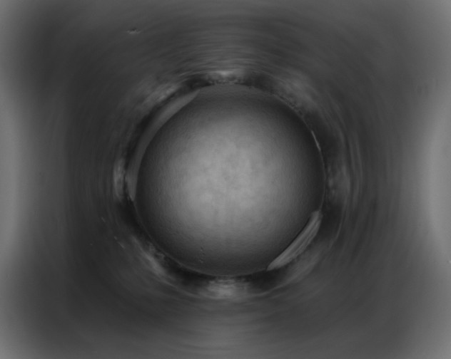 X0000086900231200704161325