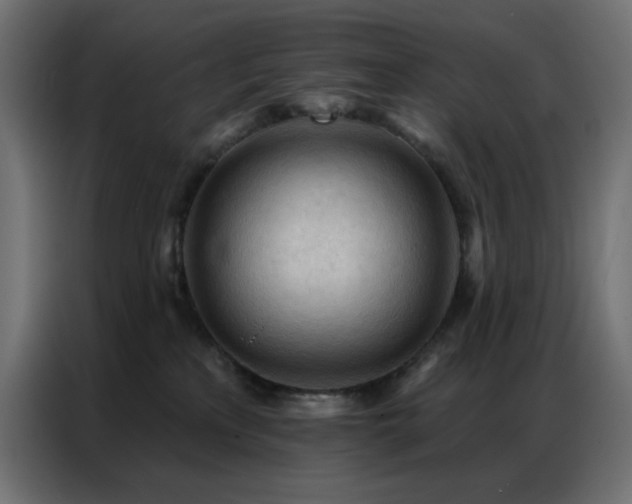 X0000086900233200704161325