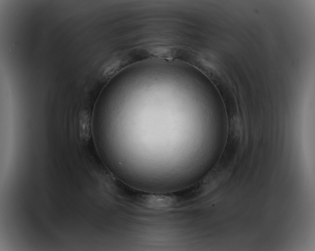 X0000086900234200704161325