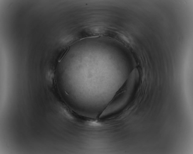 X0000086900235200704161325