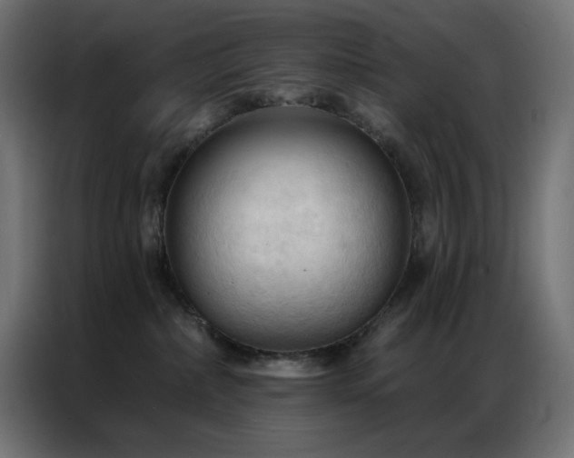 X0000086900236200704161325