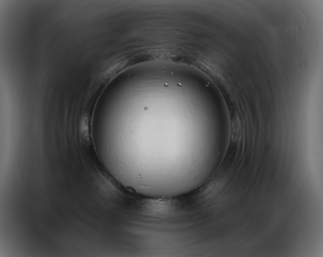 X0000086900238200704161325