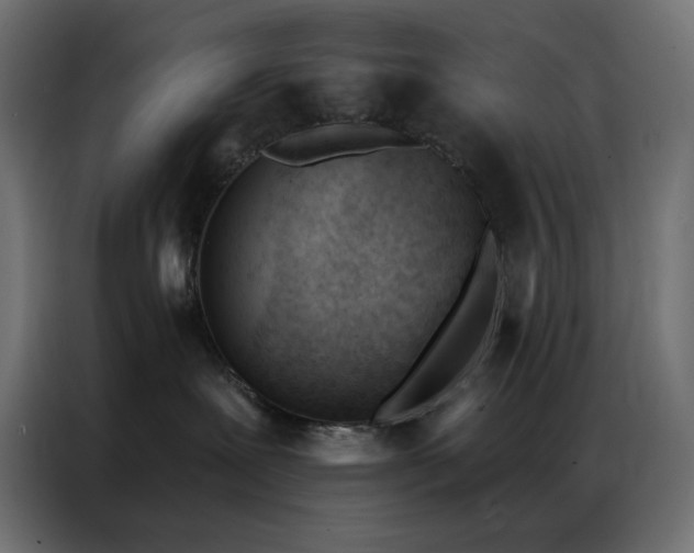 X0000086900239200704161325