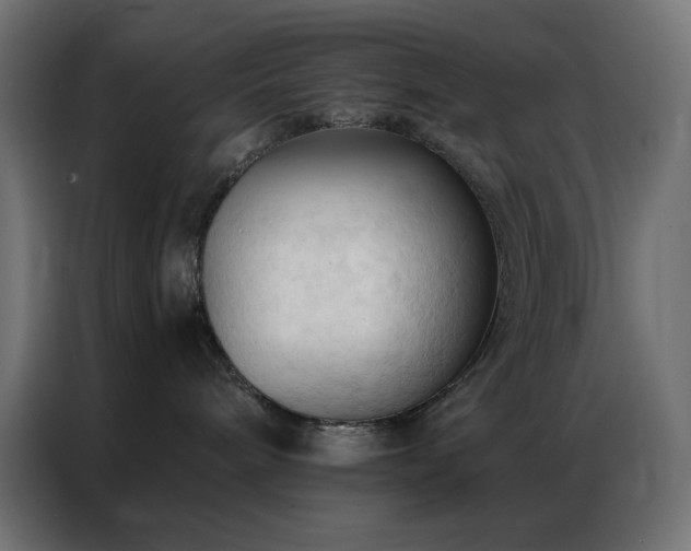 X0000086900240200704161325