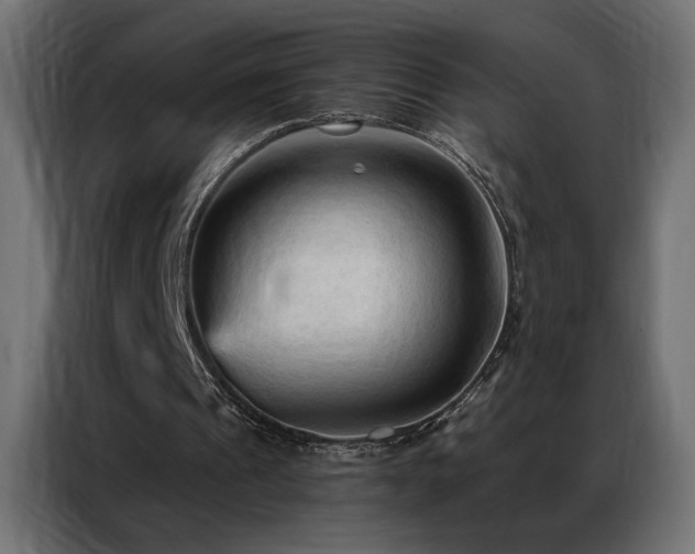X0000086900241200704161324