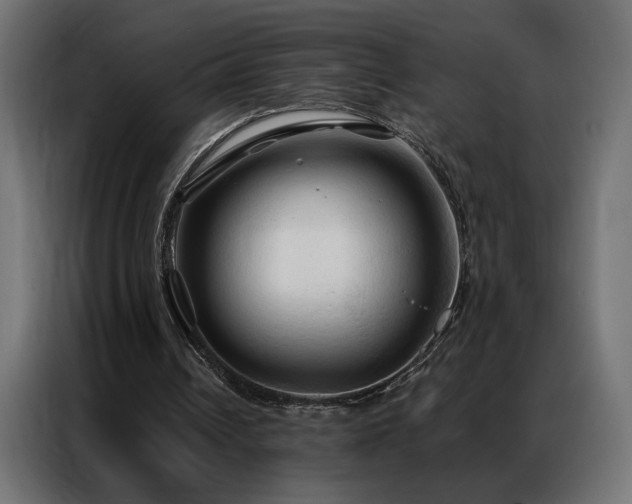 X0000086900242200704161324
