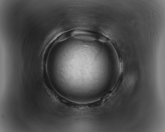 X0000086900243200704161324