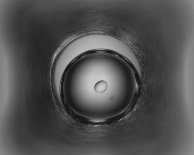 X0000086900244200704161324