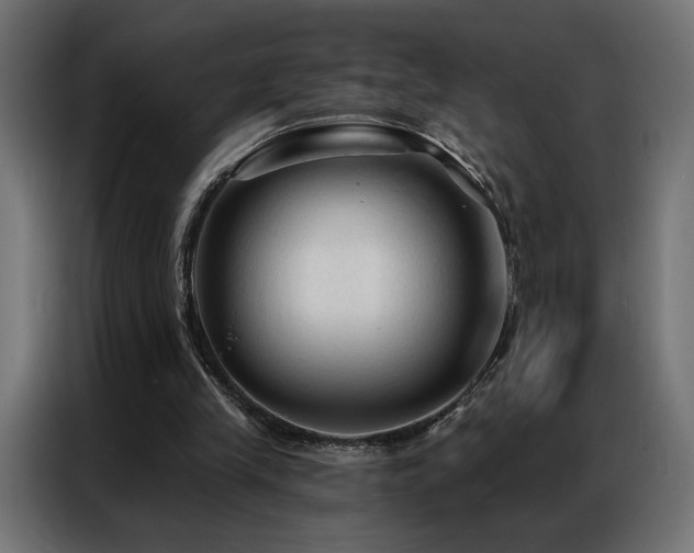 X0000086900245200704161324
