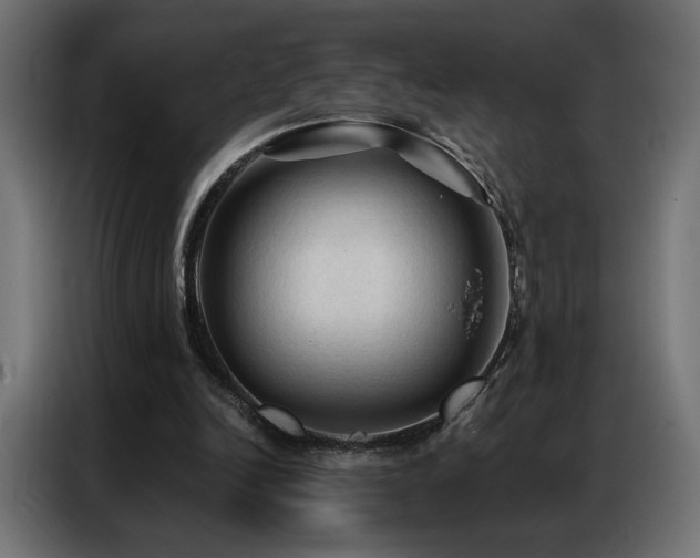 X0000086900246200704161324