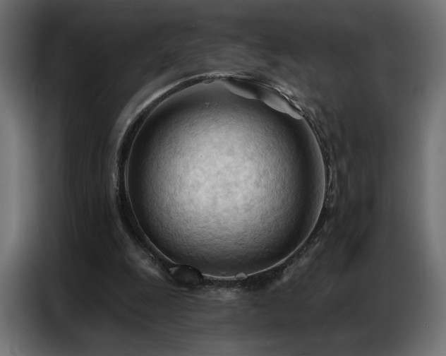 X0000086900247200704161324