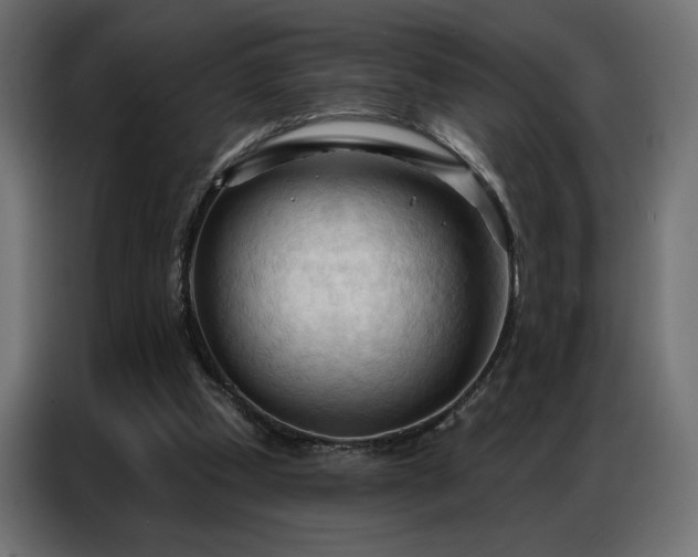 X0000086900249200704161324