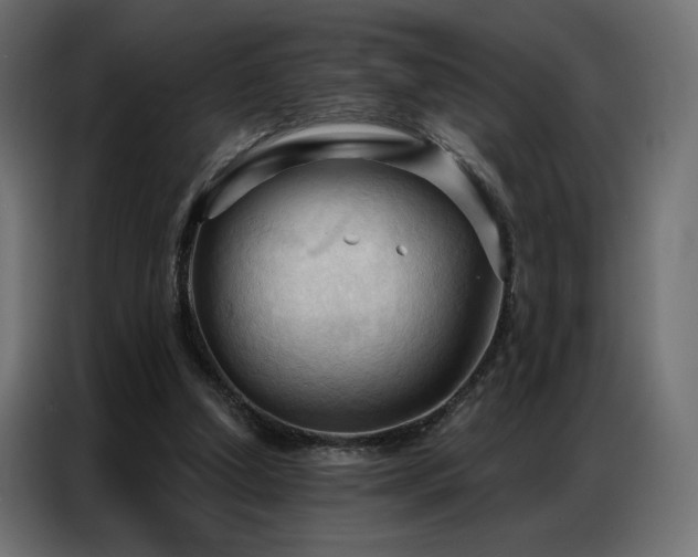 X0000086900250200704161324