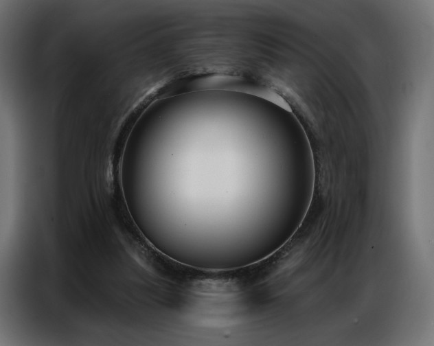 X0000086900251200704161324