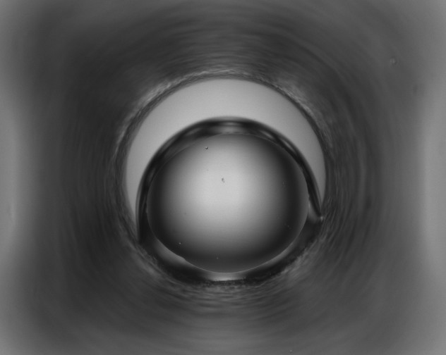 X0000086900252200704161324