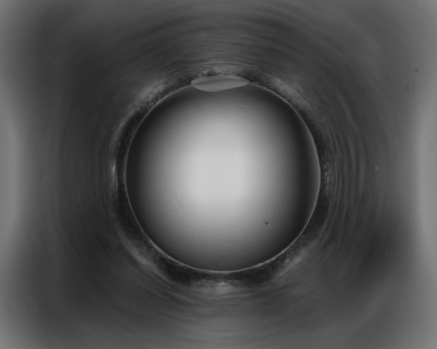 X0000086900254200704161324