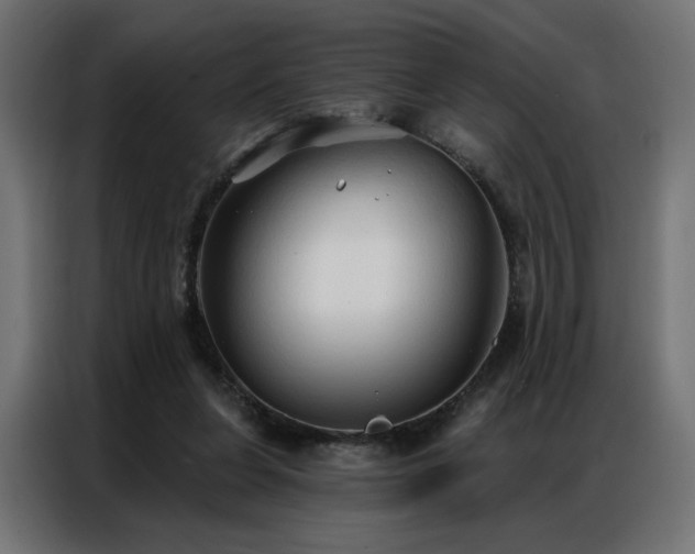 X0000086900255200704161324