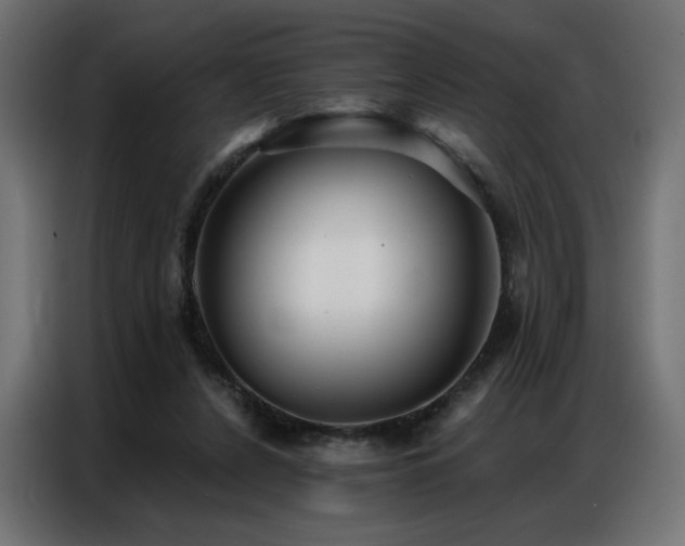 X0000086900256200704161324