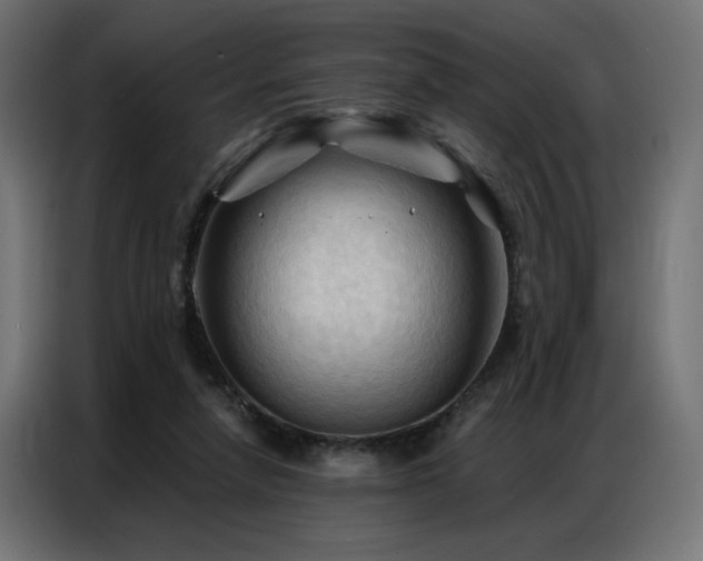 X0000086900258200704161325