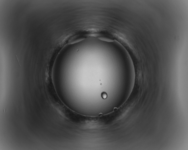 X0000086900259200704161325