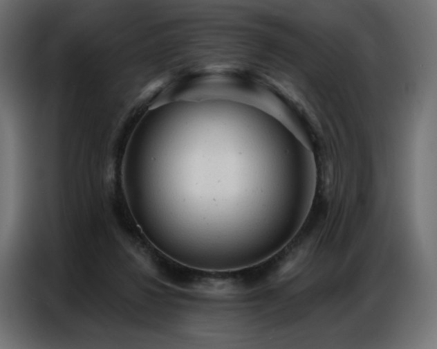 X0000086900260200704161325
