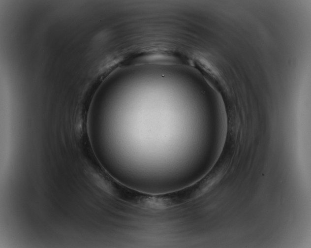 X0000086900261200704161325