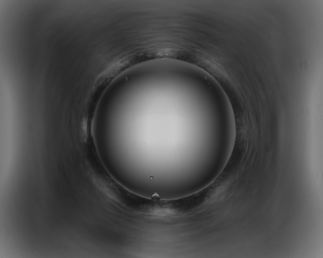X0000086900262200704161325