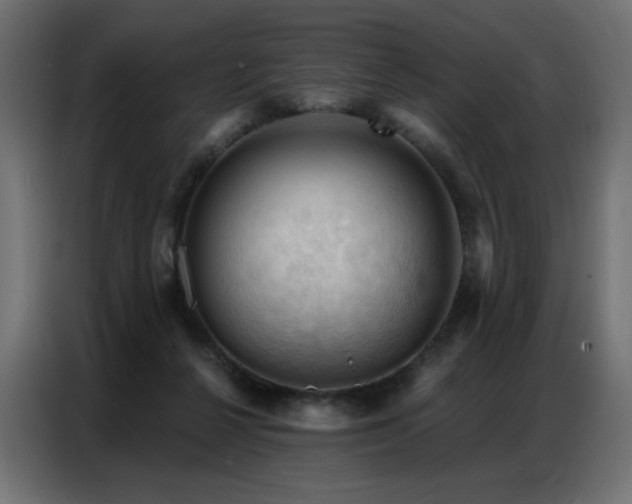 X0000086900264200704161325